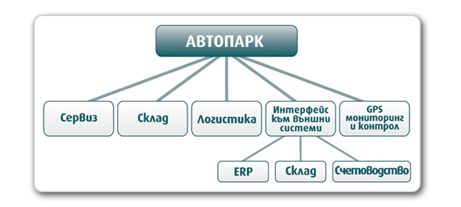 Управление на автопарк - структура на Транспорт плюс